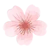 🌸