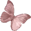 🦋