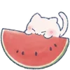 🐱