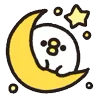 🌙