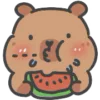 🍉