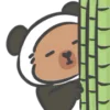 🐼