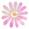🌸