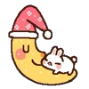 🌙