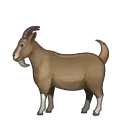 🐐