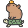 🐢