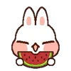 🍉