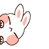 🐰