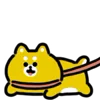 🐶