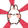 🐰