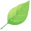 🌿
