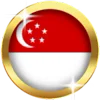 🇸🇬