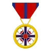 🎖