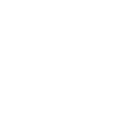 👑