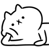🐱