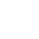 🌐