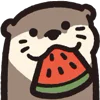 🍉