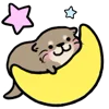 🌙