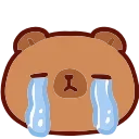 😭
