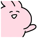 🐰