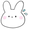 🐰