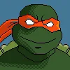 🐢