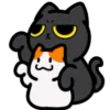🐈‍⬛
