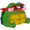 🐢