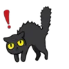 🐈‍⬛