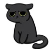 🐈‍⬛