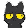 🐈‍⬛