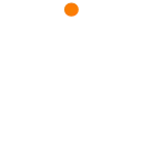 🟣