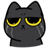 🐈‍⬛