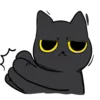 🐈‍⬛
