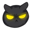🐈‍⬛