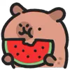 🍉