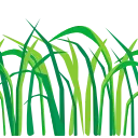 🌿