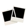🏷️
