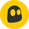 🟡