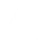 🪙