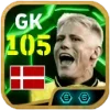 🇩🇰