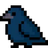 🐦‍⬛️