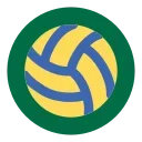 🏐