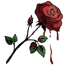 🌹
