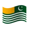 🇵🇰