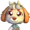 🐶