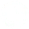 ◽️