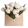 🌷