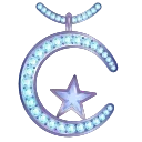 🌙