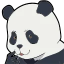 🐼